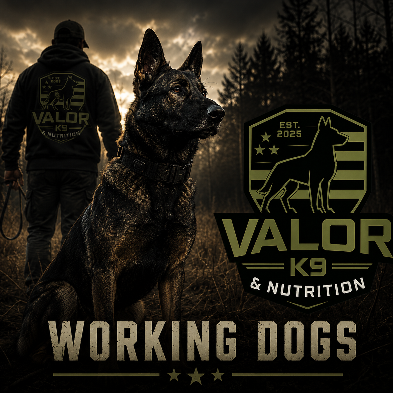 Working Dogs - Valor K9 & Nutrition