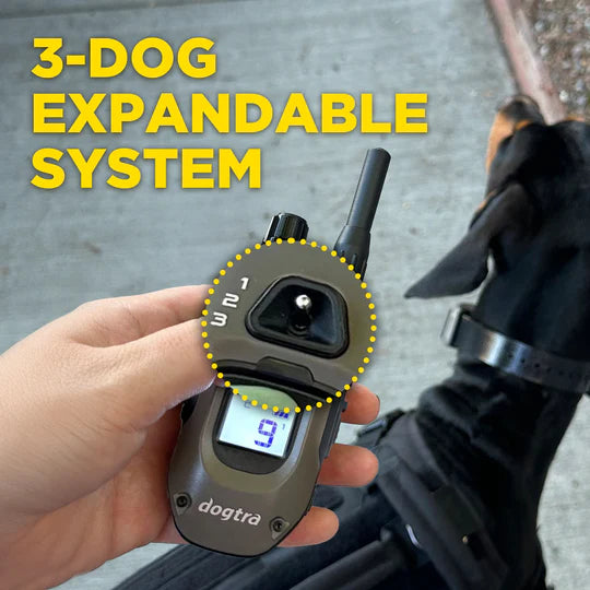 Dogtra electronic device with expandable system feature, held by a person.