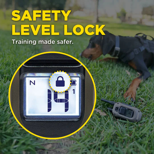 Dog training device with safety level lock feature on grass