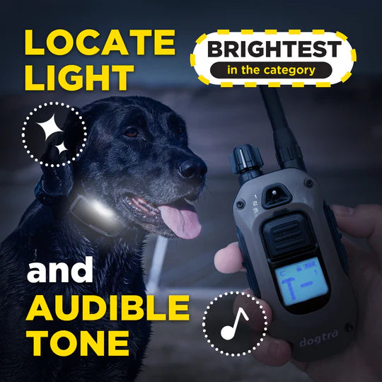 Dog with a flashlight and remote control, highlighting features like brightest light and audible tone.