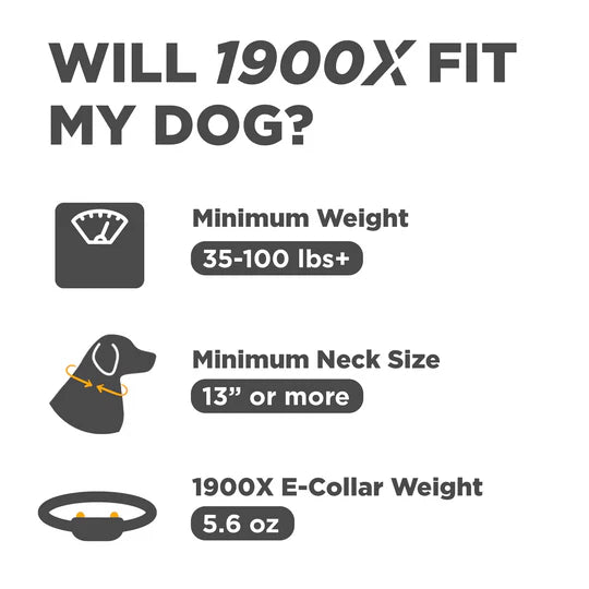 Informational graphic about the 1900X e-collar fit for dogs, including weight and neck size requirements.
