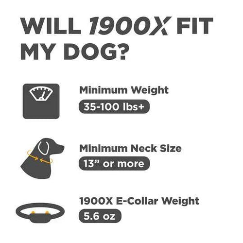 DOGTRA 1900X Remote Training Collar