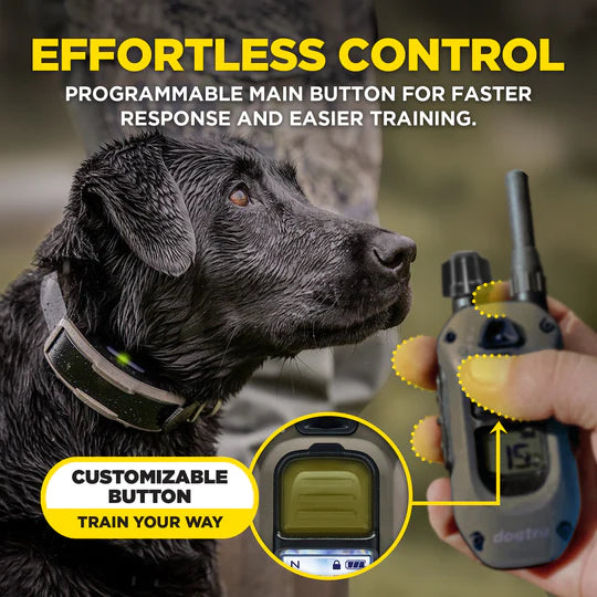 Dog wearing a collar with a remote control labeled 'Effortless Control' and 'Customizable Button'.