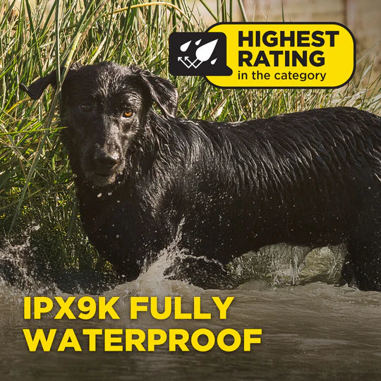 Dog running through water with a 'Highest Rating' and 'IPX9K Fully Waterproof' label.