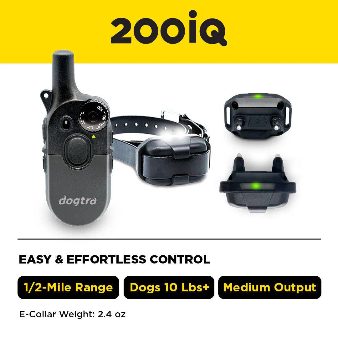 Dogtra electronic dog training device with remote and receiver on a white background, featuring 200iQ branding.