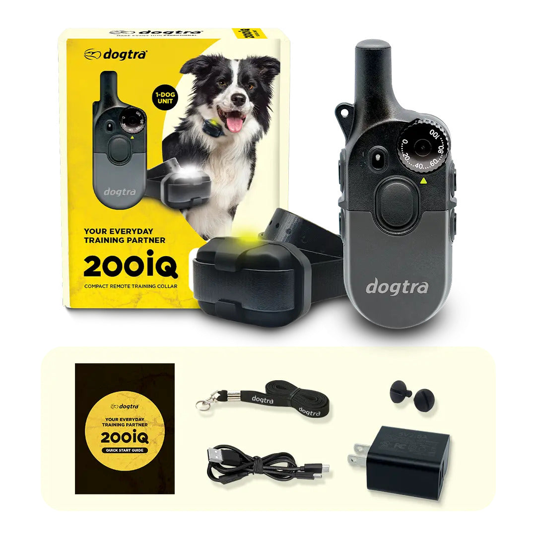 Dogtra 200iQ training collar with packaging and accessories on a white background