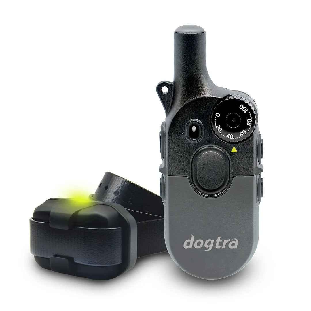 Dogtra 200iQ