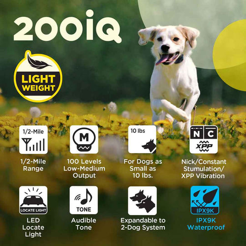 Dogtra 200iQ