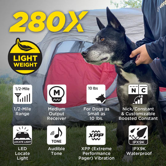 Dog wearing a collar with features of a pet device displayed on a grassy background