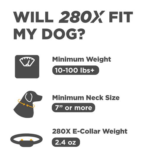 Informational graphic about the 280X e-collar for dogs, including weight and neck size requirements.