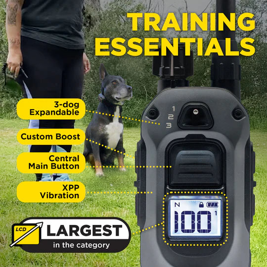 Dog training device with features highlighted and a dog in the background