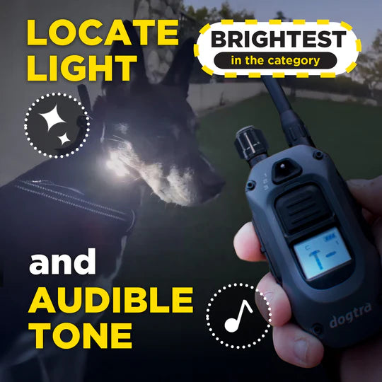Dog with a flashlight and a remote control held by a person, with text highlighting features.
