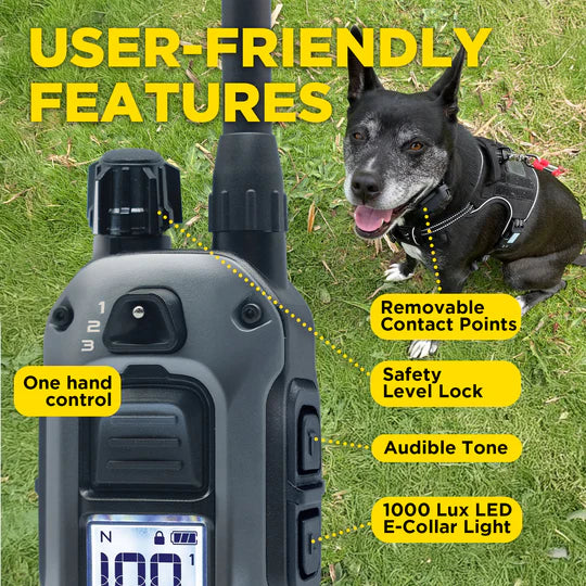 Dog training device with features highlighted on a grassy background
