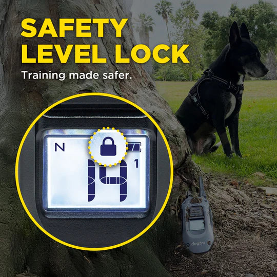 Dog training device with safety level lock feature, dog in the background