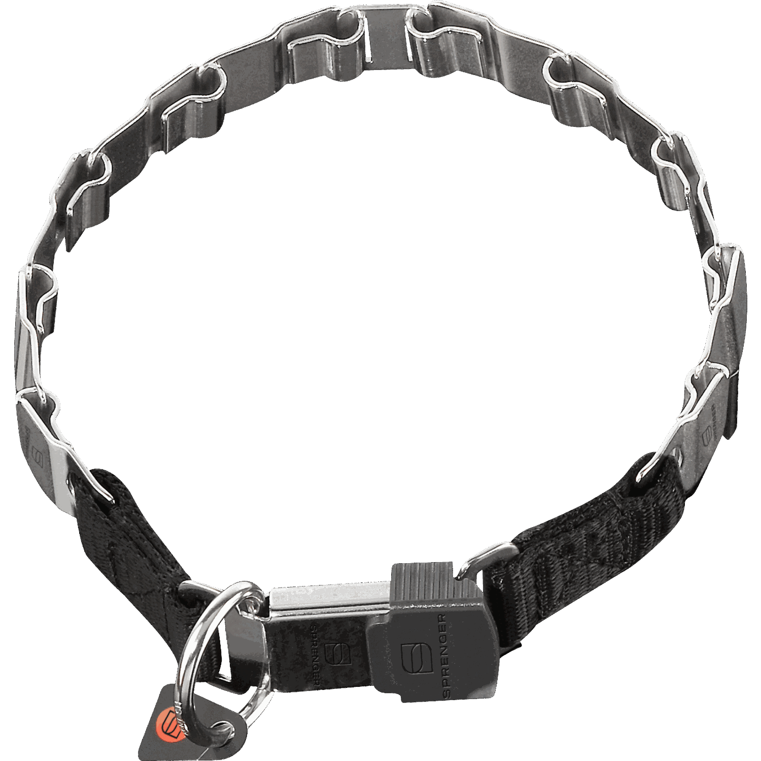 Dog collar with metal chain on a white background