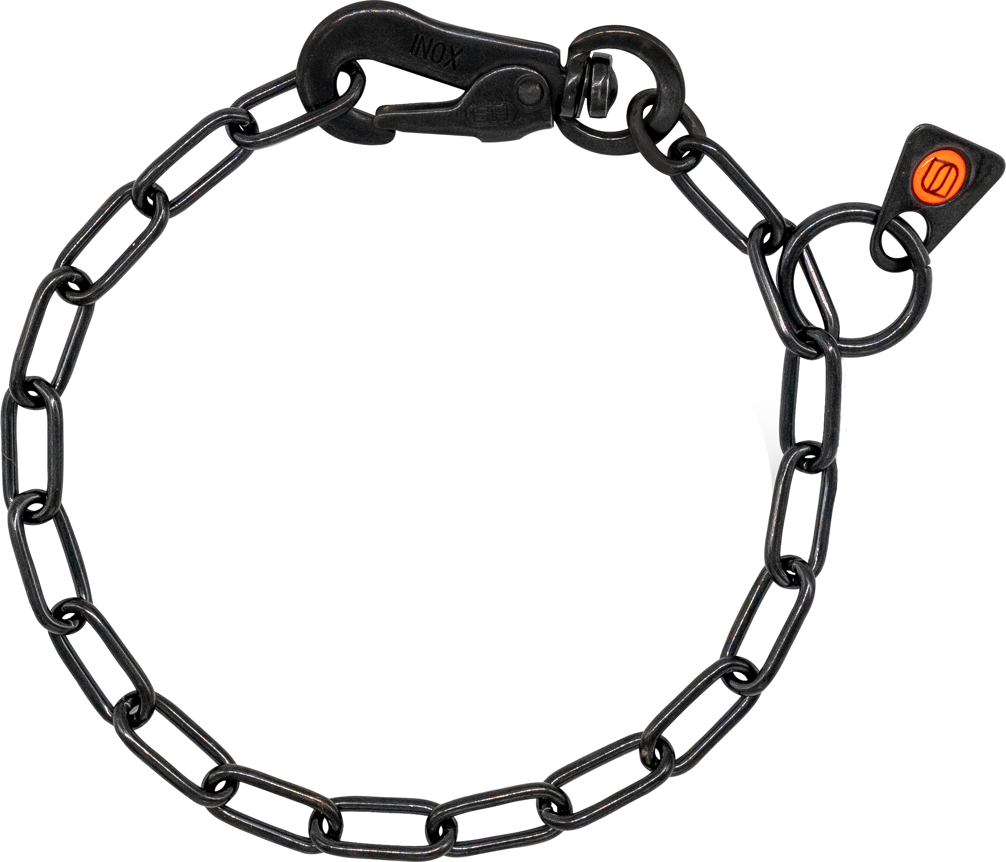 Black chain with a clasp on a white background