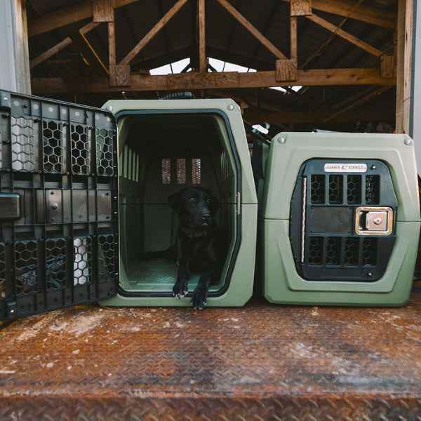 G1 KENNEL