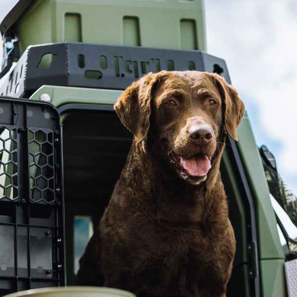 G1 KENNEL