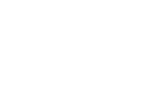 Kinetic logo
