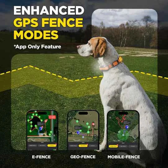 DOGTRA PATHFINDER2 MINI COMPASS