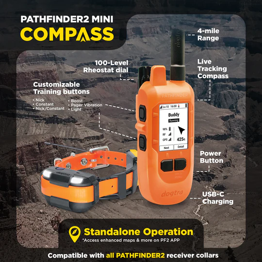 Orange dog training device with compass and collar on a mountainous background