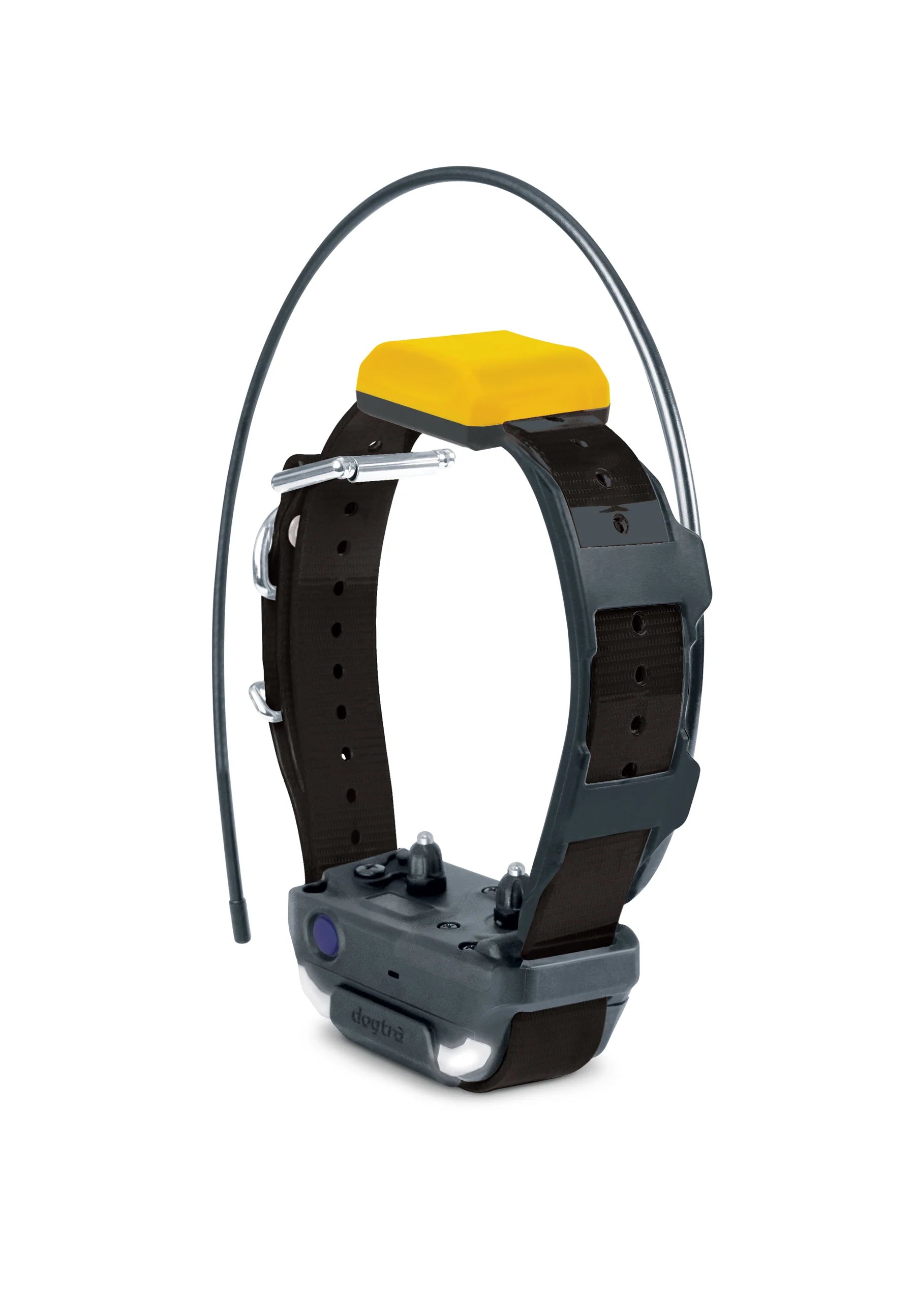 Dog collar with electronic device on a white background
