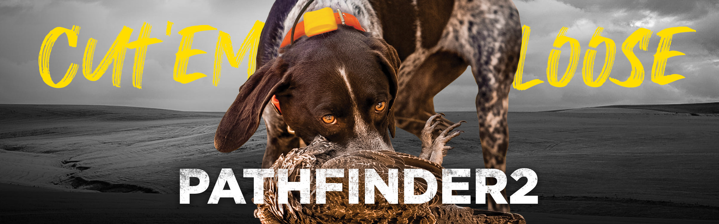 DOGTRA PATHFINDER2