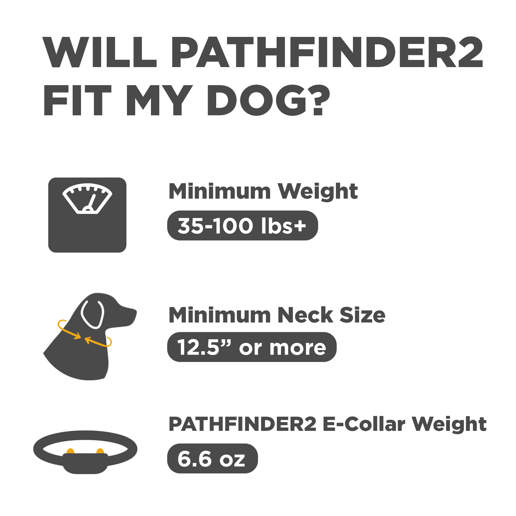 DOGTRA PATHFINDER2