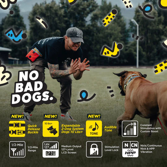 Dogtra TOM DAVIS 280X 2.O