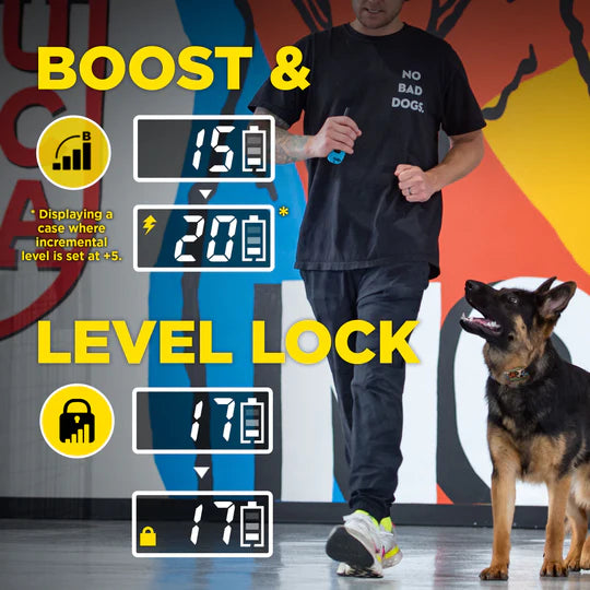 Dogtra TOM DAVIS 280X 2.O