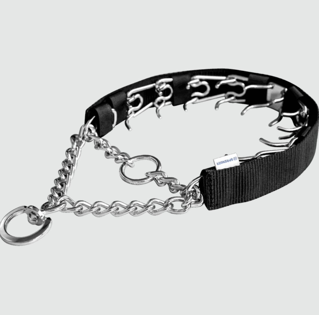 Dog training collar with chain on a light gray background